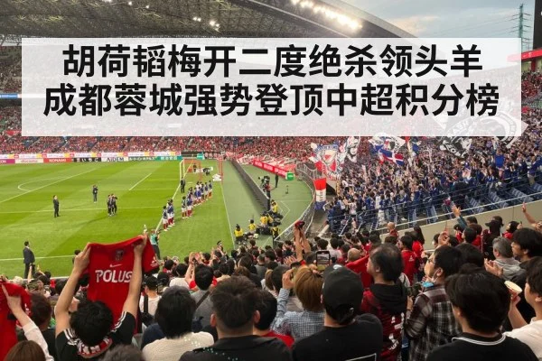 football stadium crowd cheering